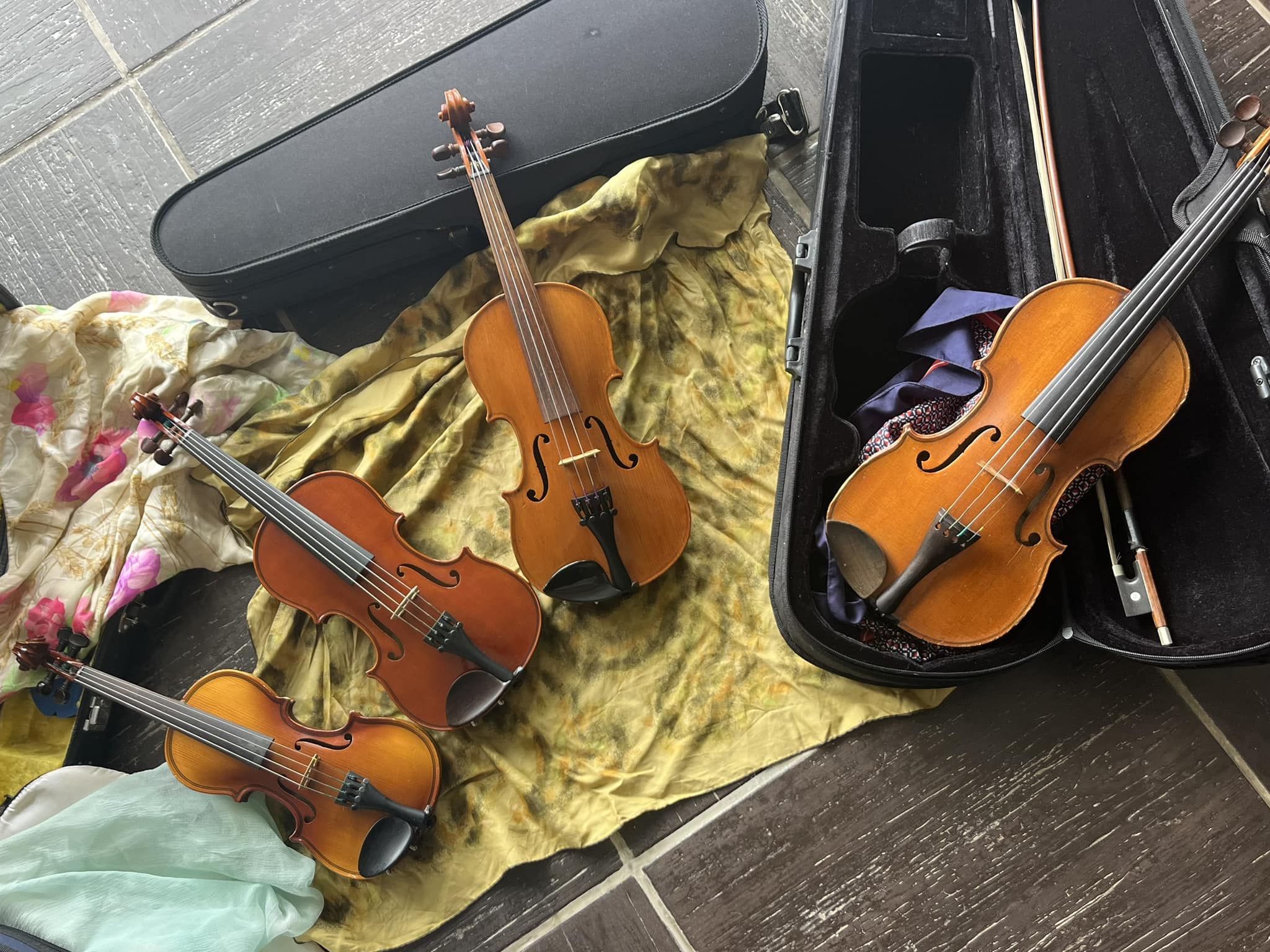 quatre violon de tailles diférentes